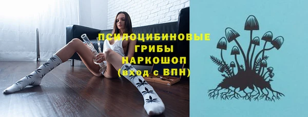 ешки Бронницы