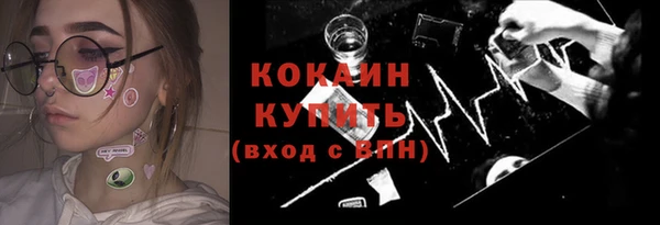стафф Бородино