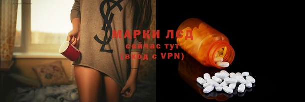 стафф Бородино