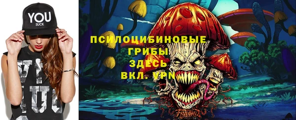 стафф Бородино
