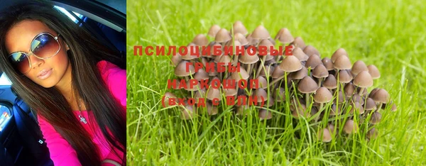 соль курить ск Богородск