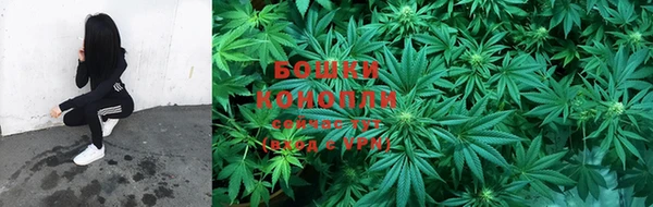 ешки Бронницы
