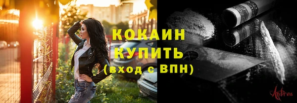 стафф Бородино