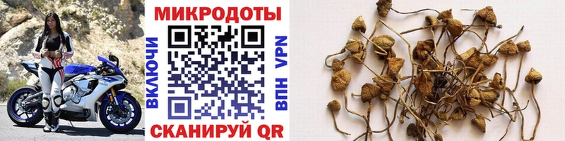 Купить  Гурьевск  Псилоцибиновые грибы Magic Shrooms 